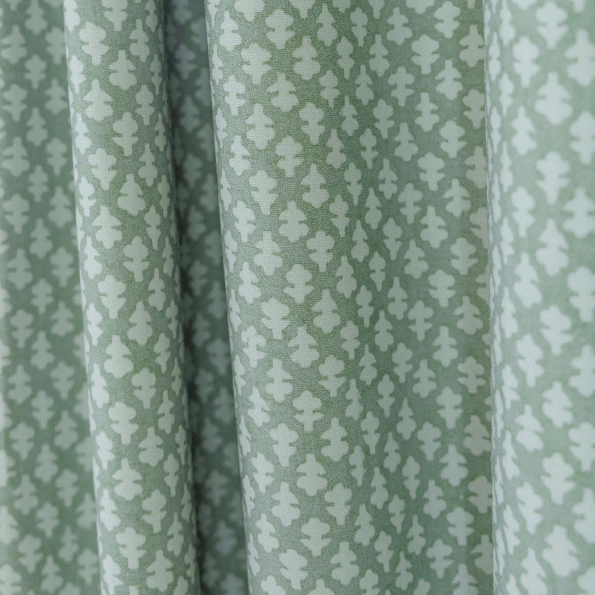 Quinn Celadon