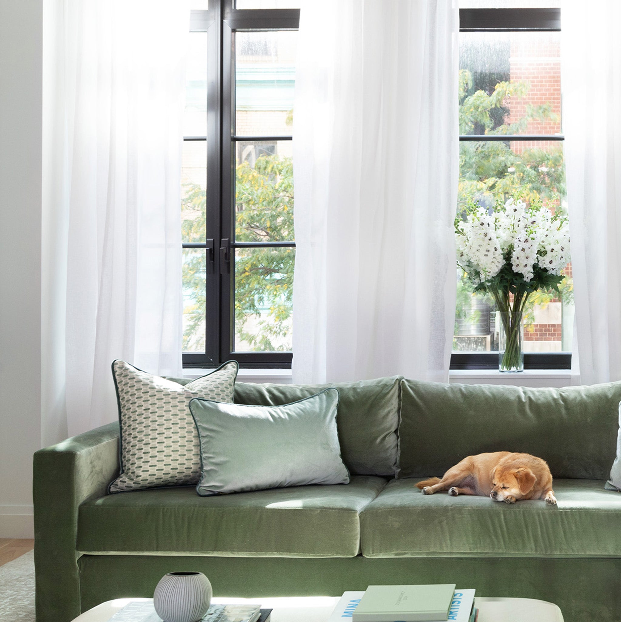 FEATURED: Snow Sheer Curtains / Willow Mint & Sea Salt Pillows