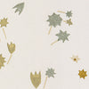 Campbell Chamomile